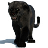 Panther: Animated Black Panther Animal 3D Model for Download - 339$ 