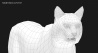Lynx Rufus: Bobcat 3D Model for Download - 49$ 
