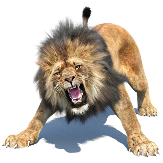 Animated Furry Lion 3D Model