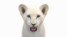 Lion Cub: White Baby Lion 3D model for Download - 139$ 