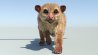 Kinkajou: Realistic Kinkajou 3D Model Animated Fur for Download - 499$ 