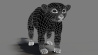 Kinkajou: Realistic Kinkajou 3D Model Animated Fur for Download - 499$ 