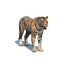 Tiger: Realistic Tiger 3D Model for Download - 99$ 