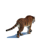 Rigged Tiger: Rigged Furry Tiger 3D Model for Download - 99$ 