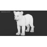 Lion Cub: Rigged Lion Cub 3D Model for Download - 169$ 