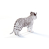 Tiger Cub: White Tiger Cub 3D Model for Download - 179$ 