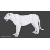 White Tiger: White Tiger 3d Model Animated for Download - 339$ 