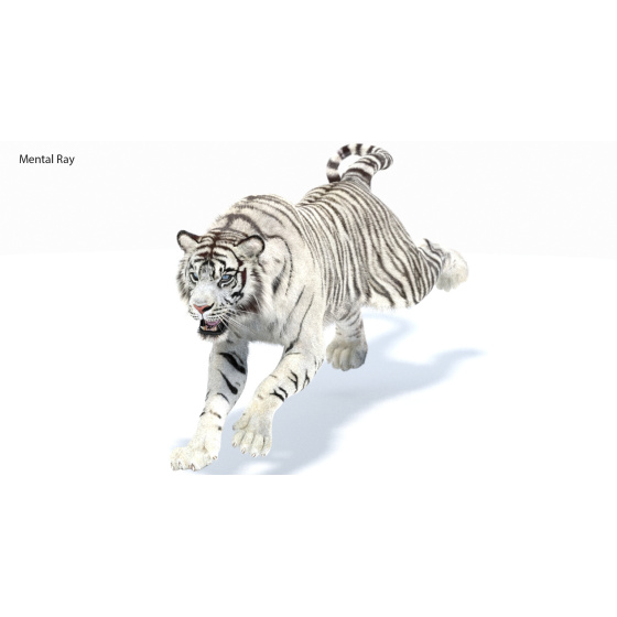 1. Animated Tiger 3D Model for Download - 179$