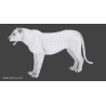 White Tiger: Animated White Tiger 3D Model for Download - 179$ 