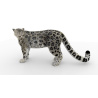 Rigged Snow Leopard: Rigged Snow Leopard 3D Model Maya for Download - 149$ 