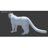 Rigged Snow Leopard: Rigged Snow Leopard 3D Model Maya for Download - 149$ 