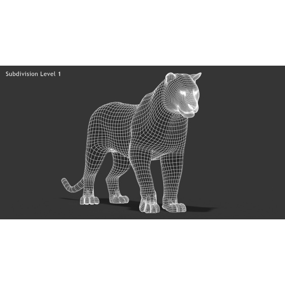 1. Animated Furry Lion Cub 3D Model for Download - 329$