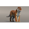 Tiger: Tiger Fur 3D Model for Download - 69$ 