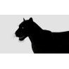 Panther: Panther 3d Model for Download - 69$ 