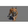 Lynx Lynx: Lynx 3d Model Animated for Download - 139$ 