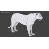 White Tiger: White Tiger 3D Model for Download - 99$ 