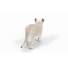 Lion Cub: Rigged White Lion Cub 3D Model for Download - 159$ 