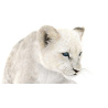 Lion Cub: Rigged White Fur Lion Cub 3D Model for Download - 249$ 