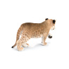 Lion Cub: Rigged Fur Lion Cub 3D Model for Download - 259$ 