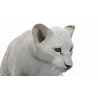 Lion Cub: Animated White Lion Cub 3D Model for Download - 189$ 