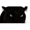 Black Panther: Rigged Black Panther 3D Model for Download - 169$ 