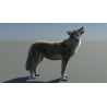 Red Wolf: Animated Furry Red Wolf 3D Model for Download - 399$ 