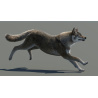 Red Wolf: Animated Furry Red Wolf 3D Model for Download - 399$ 