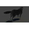 Saint Bernard: Saint Bernard 3D Model for Download - 149$ 