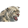 Animated Snow Leopard: Snow Leopard 3D Model Animated for Download - 399$ 