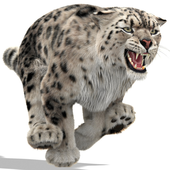 Snow Leopard 3D Model Animated Furry