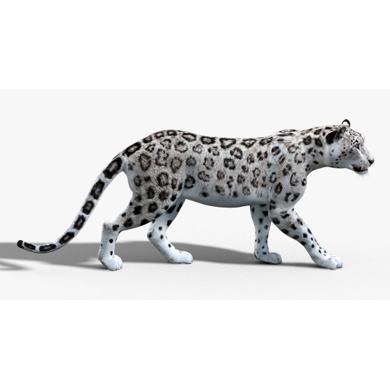 1. Rigged Sri Lankan Leopard 3D Model for Download - 229$