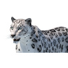 Snow Leopard: Snow Leopard 3D Model for Download - 49$ 