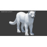 Snow Leopard: Snow Leopard Furry 3D Model Maya for Download - 199$ 