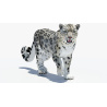 Animated Snow Leopard: Snow Leopard Animated 3D Model for Download - 199$ 