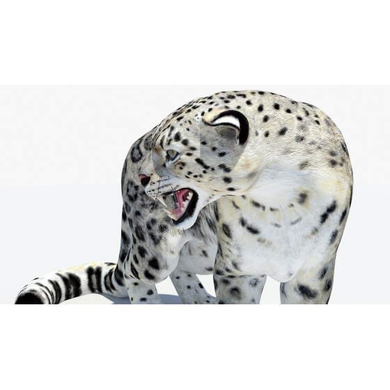 1. Snow Leopard 3D Model for Download - 49$