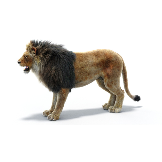 1. Tiger 3d Model Animated for Download - 109$