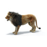 Lion Fur 3D Model