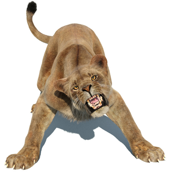 Animated Lioness 3D Model Fur