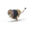 3D Model Animated Lion Fur