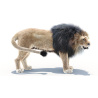 3D Model Animated Lion Fur