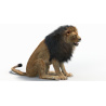 Rigged Lion: Rigged Furry Lion 3D Model for Download - 209$ 
