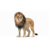 Rigged Lion: Rigged Lion 3D Model for Download - 139$ 