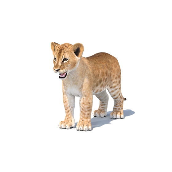 1. Leopard Animated 3D Model for Download - 199$