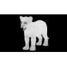 Lion Cub: Lion Cub 3D Model for Download - 149$ 
