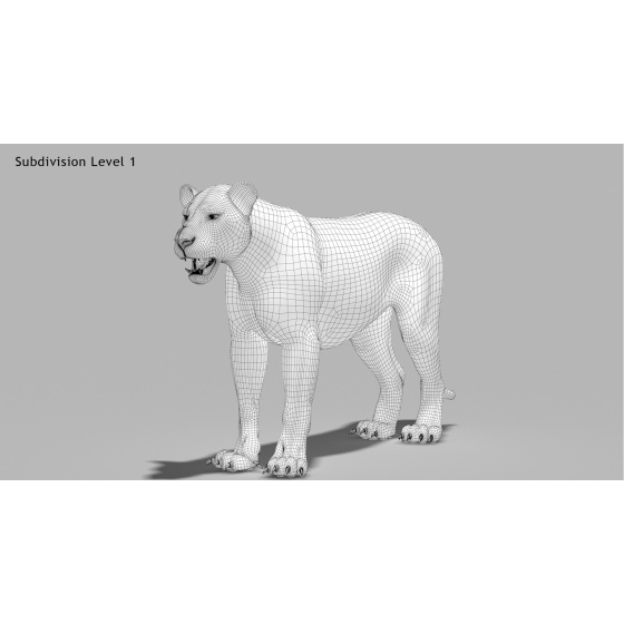 1. Animated White Tiger 3d Model for Download - 179$