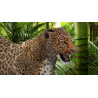 Leopard Animated Furry 3D Model