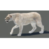 Animated White Lioness 3D Model