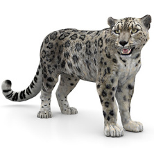 Rigged Snow Leopard