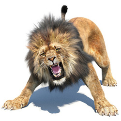 Lion 3D Models for Download | PROmax3D