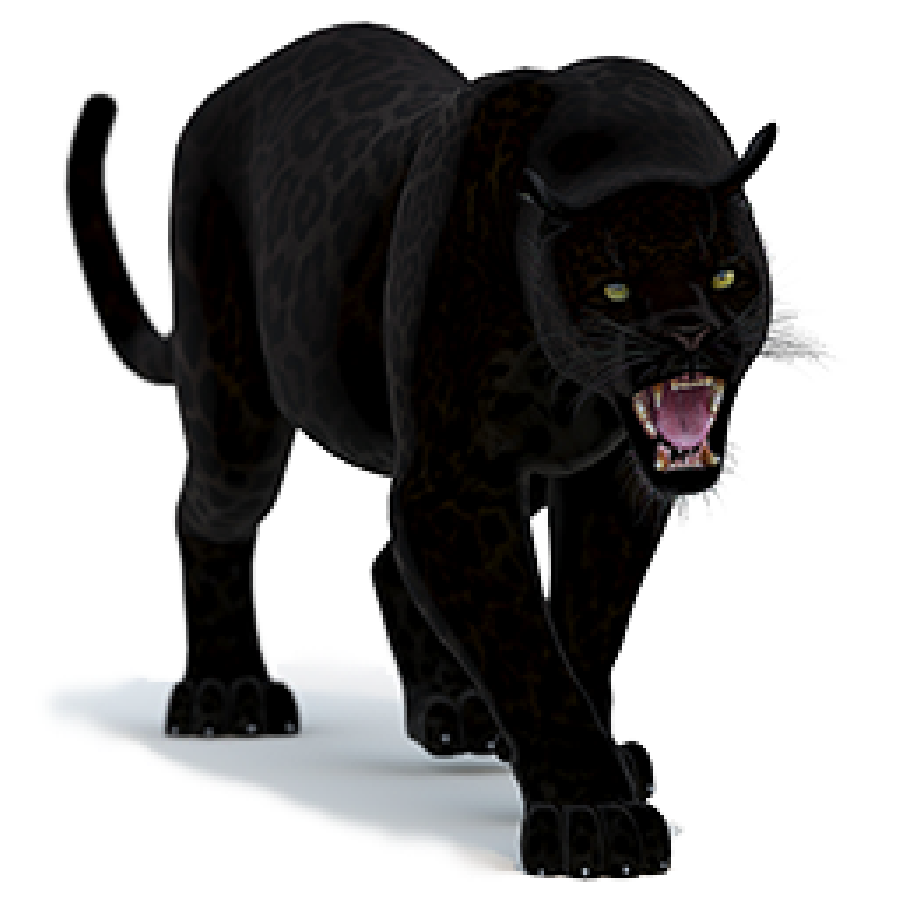 Panther 3D Models for Download | PROmax3D